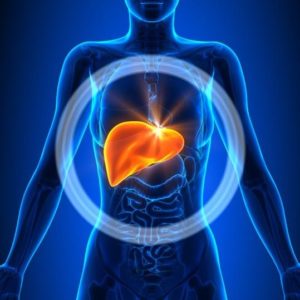 liver leaky