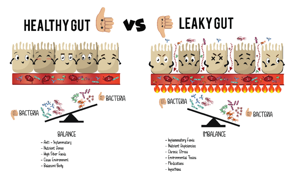 healthy gut
