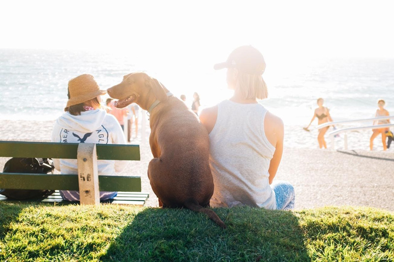 man with the dog