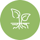 Western Herbal Medicine + workshops + events