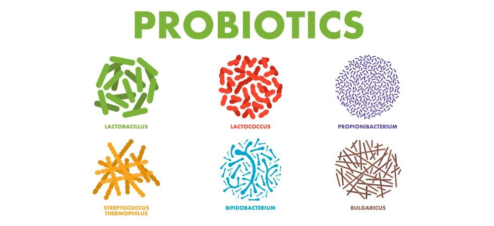 priobiotics